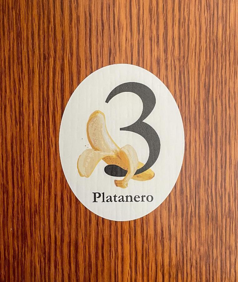 Canary Bio Hostel Tenerife Los Realejos Kültér fotó